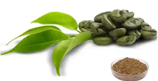 How to Use Green Coffee Bean Extract Powder?